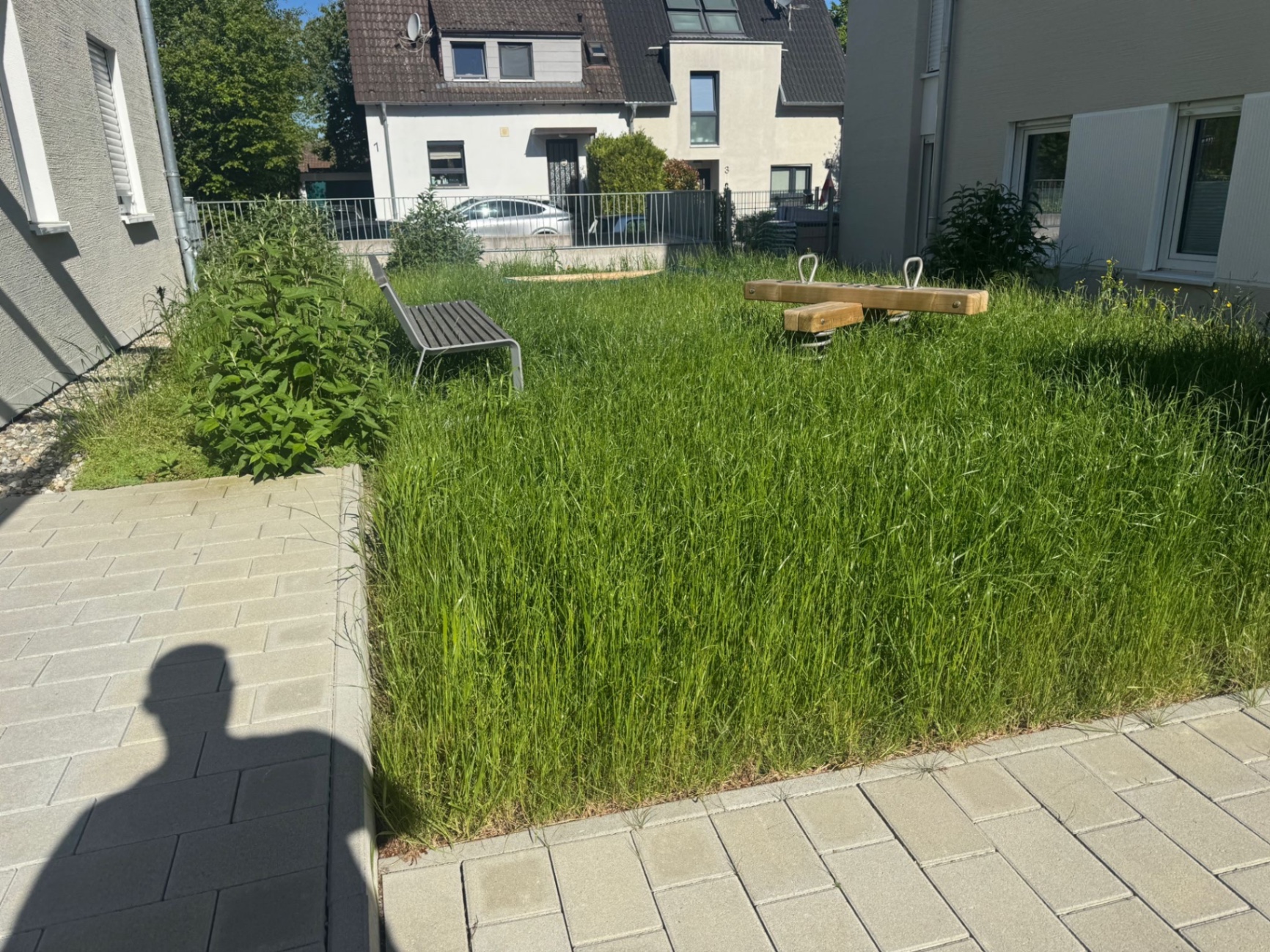 Außenanlage vor der Pflege